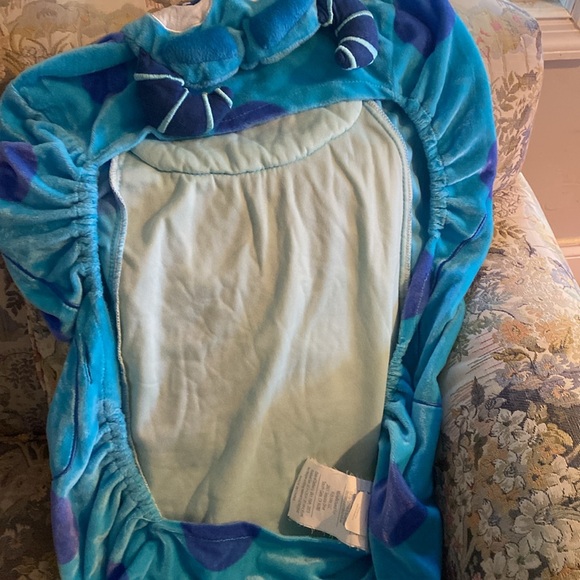 Sully changing - Picture 4 of 4